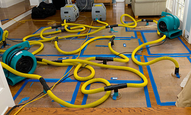 Professional Crawl Space Water Removal technician working in Melville, NY